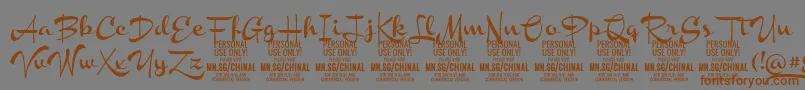 ChinalboldPersonalUse Font – Brown Fonts on Gray Background