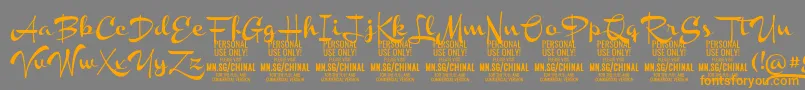 ChinalboldPersonalUse Font – Orange Fonts on Gray Background
