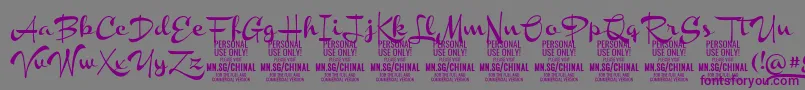 フォントChinalboldPersonalUse – 紫色のフォント、灰色の背景