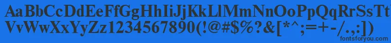 TimesBold Font – Black Fonts on Blue Background