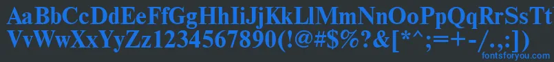 TimesBold Font – Blue Fonts on Black Background