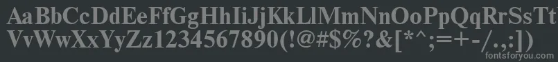 TimesBold Font – Gray Fonts on Black Background