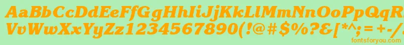 KorinnablackattBolditalic Font – Orange Fonts on Green Background