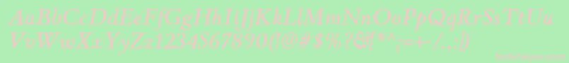 WinthorpesbItalic Font – Pink Fonts on Green Background