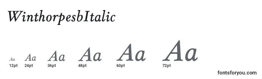 WinthorpesbItalic Font Sizes