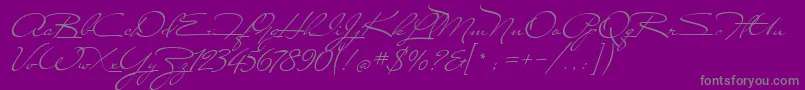 MissStanfort Font – Gray Fonts on Purple Background