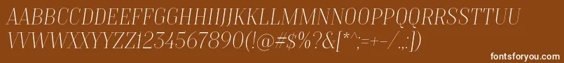 TtMoonsThinItalicDemo Font – White Fonts on Brown Background