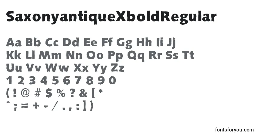 Czcionka SaxonyantiqueXboldRegular – alfabet, cyfry, specjalne znaki