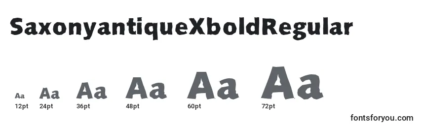 Размеры шрифта SaxonyantiqueXboldRegular