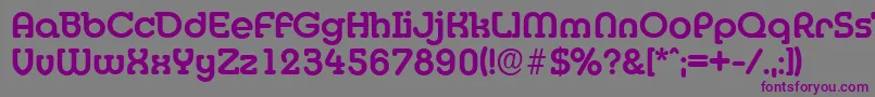 MexicoserialBold Font – Purple Fonts on Gray Background