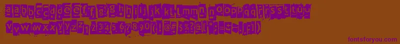 Znort3000 Font – Purple Fonts on Brown Background
