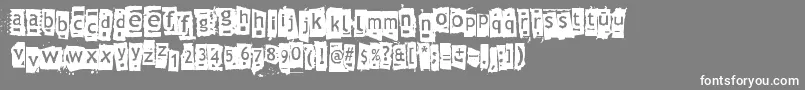 フォントZnort3000 – 灰色の背景に白い文字