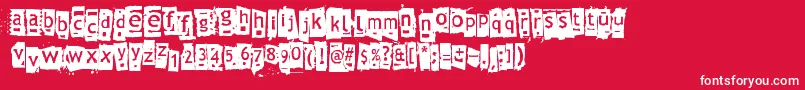 Znort3000 Font – White Fonts on Red Background
