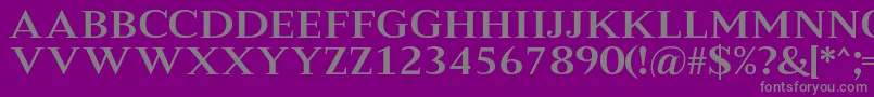 MeryshaRegular Font – Gray Fonts on Purple Background