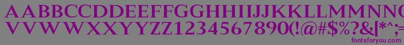 MeryshaRegular Font – Purple Fonts on Gray Background