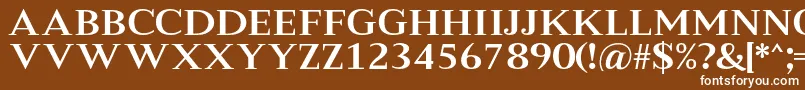 MeryshaRegular Font – White Fonts on Brown Background