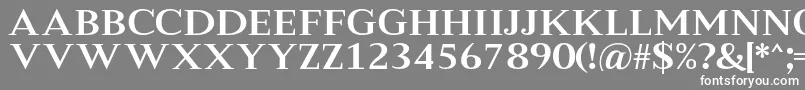 MeryshaRegular Font – White Fonts on Gray Background