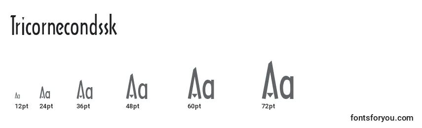 Tricornecondssk Font Sizes