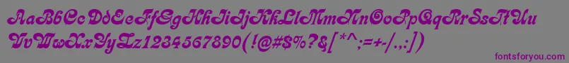 KarinRegular Font – Purple Fonts on Gray Background