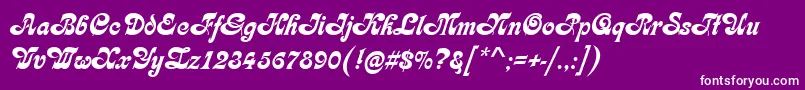 KarinRegular Font – White Fonts on Purple Background