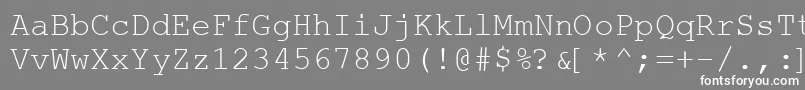 フォントWebHebrewMonospace – 灰色の背景に白い文字