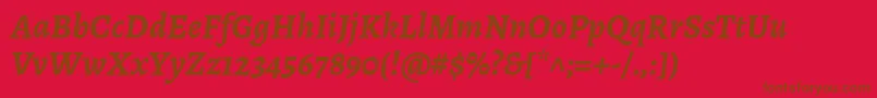 Police AlegreyaBolditalic – polices brunes sur fond rouge