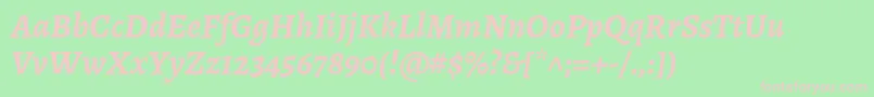 AlegreyaBolditalic Font – Pink Fonts on Green Background