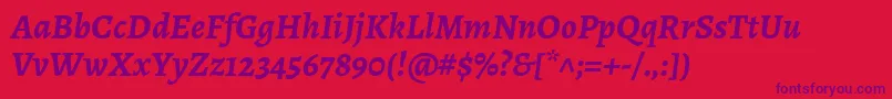AlegreyaBolditalic Font – Purple Fonts on Red Background