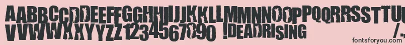 WillametteRising Font – Black Fonts on Pink Background