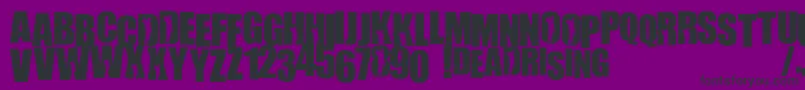 WillametteRising Font – Black Fonts on Purple Background