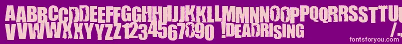 WillametteRising Font – Pink Fonts on Purple Background