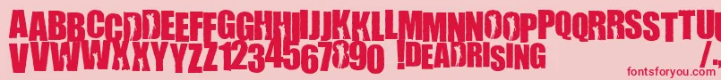 WillametteRising Font – Red Fonts on Pink Background