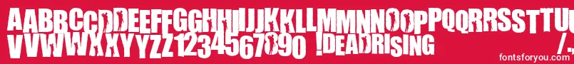 WillametteRising Font – White Fonts on Red Background