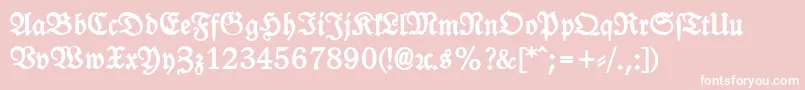 LeipzigFrakturHeavy Font – White Fonts on Pink Background