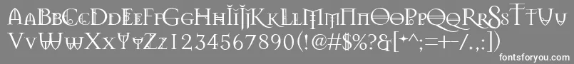 フォントSplendors – 灰色の背景に白い文字