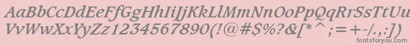 CaxtonBoldItalicBt Font – Gray Fonts on Pink Background