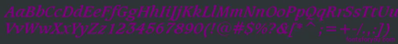 CaxtonBoldItalicBt-Schriftart – Violette Schriften auf schwarzem Hintergrund