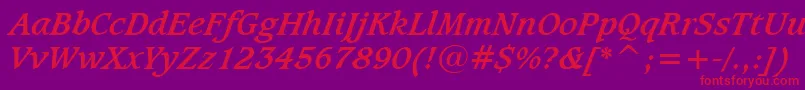 CaxtonBoldItalicBt Font – Red Fonts on Purple Background