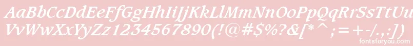 CaxtonBoldItalicBt Font – White Fonts on Pink Background