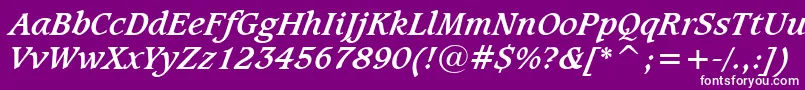 フォントCaxtonBoldItalicBt – 紫の背景に白い文字