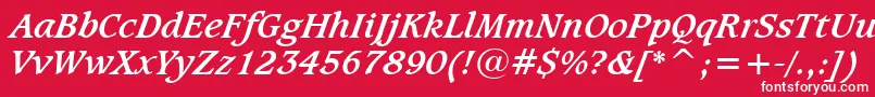 CaxtonBoldItalicBt Font – White Fonts on Red Background