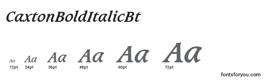 CaxtonBoldItalicBt Font Sizes