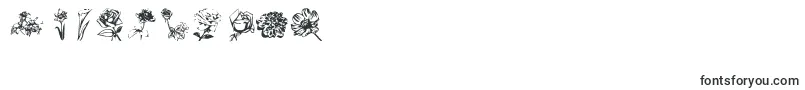 KrKatlingsFive Font – Fonts for Numbers and Digits