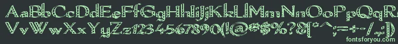 Pamelor Font – Green Fonts on Black Background