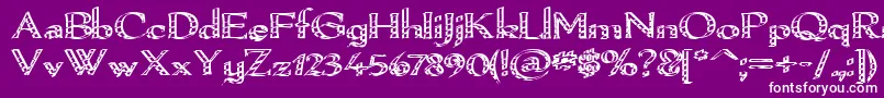 Pamelor Font – White Fonts on Purple Background