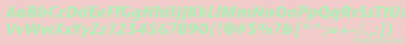 StoneSansItcBoldItalic Font – Green Fonts on Pink Background