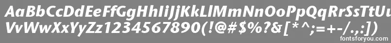 フォントStoneSansItcBoldItalic – 灰色の背景に白い文字