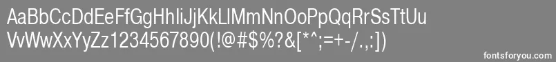 Pragmaticactt75n Font – White Fonts on Gray Background