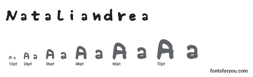 Nataliandrea Font Sizes