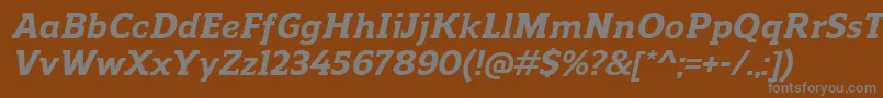 フォントReganslabExtrabolditalic – 茶色の背景に灰色の文字